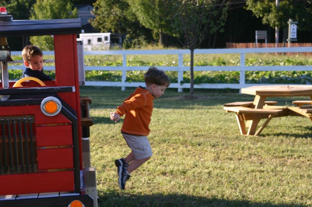 Click for original image 317k 1229x819